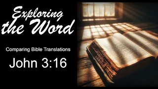 Bible Review: John 3:16 - Exploring Bible Translations