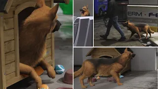 Amazing Before & After VFX Breakdown(German Shepherd Dog)