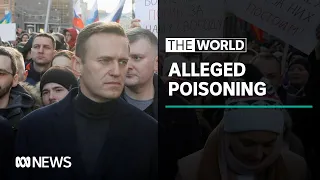 Russian opposition leader Alexei Navalny in coma after alleged poisoning | The World