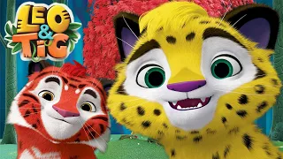 LEO and TIG 🔴 LIVE 🦁 🐯Best episodes 💚 Moolt Kids Toons Happy Bear