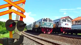 Ramainya Kereta | Nonton 11 Kereta Api di Palang Pintu Perlintasan JPL 213 | Railroad Crossing