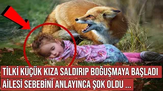 Kurtardıkları Tilki Kızlarına Öyle Bir Şey Yaptı ki, Sebebini Anlayınca Şok Oldular