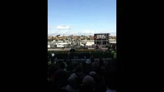 Daryl Braithwaite 'Horses' at 2010 Cox Plate