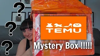Huge TEMU Mystery Box | 8/21/23 | What Have They Sent This Time?