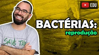 Reprodução Bacteriana - Aula 05 - Módulo IV: Microbiologia, Fungos e Protistas | Prof Gui