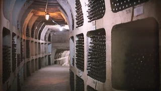 Nobil Wine Travel: Mileştii Mici