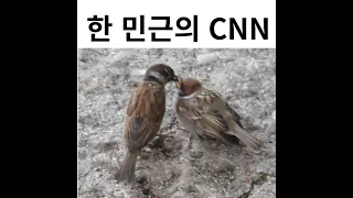 CNN NEWS 2024년 1월 20일 강의