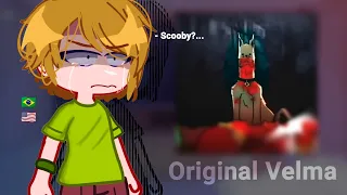 •|Scooby -Doo (Mystery Inc) React to Velma Meets The Original Velma |•gacha club 🇧🇷/🇺🇸