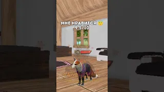 Завтра выйдет много видосиков 😘🥰 Тгк: Логово Анубиса //AnubisGame #врек #wildcraft #вреки #вайлд