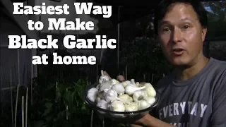 Easiest Way to Make Black Garlic at Home