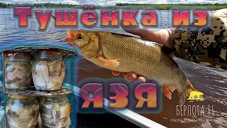 Язь пошел на ТУШеНКУ !! Малиновка 3 !! Готовлю тушенку в автоклаве ! Обалденный рецепт !)