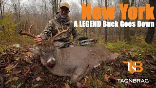 New York HUGE Bodied MATURE Buck Bow Kill