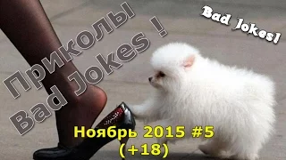 Приколы Bad Jokes! ПОДБОРКА ПРИКОЛОВ за ноябрь 2015 #5 (+18)