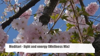 Meditari - Light And Energy (Wellness Mix) Cherry blossoms time (Kirschblüten) Bonn 2017 (4K Video)