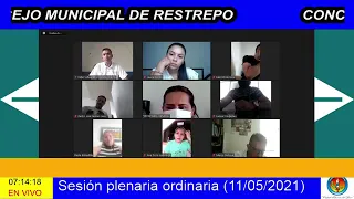 Sesión Plenaria Ordinaria 11 05 2021