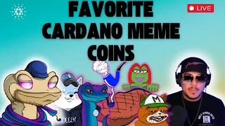 Talking Meme Coins on Cardano over Snek Energy ft. RTB Fidgety Beast