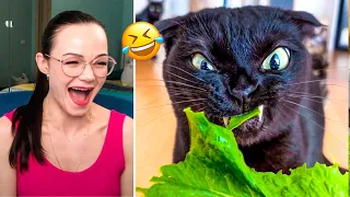 Funny Cats And Dogs Videos That Make You Laugh All Day Long 😂