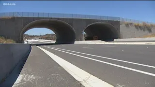 Earth 8: Wildlife bridge saving animal lives in Murrieta