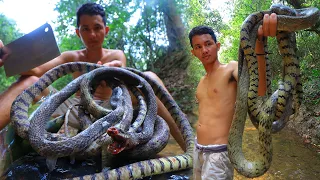 Wow! Catching Snake and Cooking Snake with Bamboo Shoot Eating Delicious