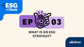 What is an ESG Strategy?