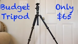 The Best Compact Tripod