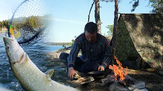 2 Day Island Bushcraft: CATCH & COOK on Kayak - ASMR