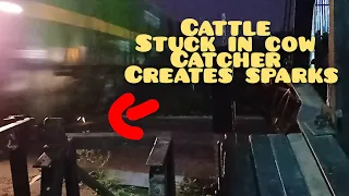 WORST CATTLE ACCIDENT EVER,😪TRAIN HITS CATTLE AND DRAGS IT CREATES SPARKS ON LEVEL CROSSING😱