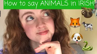 How to say ANIMALS in IRISH/GAEILGE!!