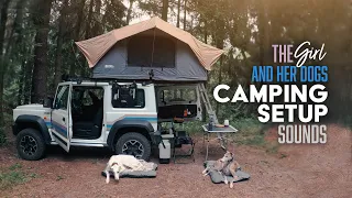 Jimny Girl and Her Dogs - roof top tent camping setup sounds