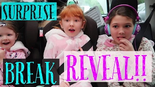 SURPRISE BREAK REVEAL!!