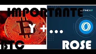 BITCOIN Y ROSE:¿A CERO O 1 U$S? Analisis BTC HOY Oasis Network DOT DUSK AXS LUNA MATIC CHR MANA Y+