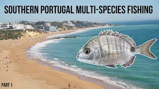 Multi-Species Fishing in Southern Portugal!