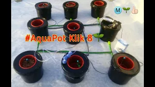 Гидропонная система Аквапот Klik 8 🌱 #growers #hydroponics #AquaPot