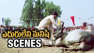 Eduruleni Manishi Movie Scenes - Nagarjuna fights the bull | Soundarya | Nagarjuna | Ali