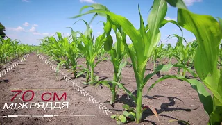 Titan Machinery | Fast 8218 Nutrient Application by Agro Pictures