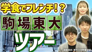 【キャンパスツアー】現役生から教わる東大の全て