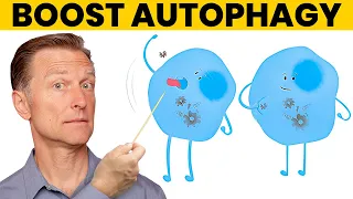 The 7 Powerful Ways to Increase Autophagy