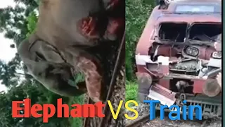 Elephants Hit Bay Speeding Train In India//Elephants Injured At Railway Track.