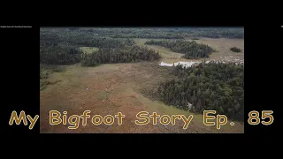 My Bigfoot Story Ep. 85 - Fall Swamp Drone & Nature