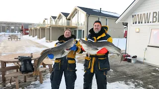 Norwegian spring cod - skrey fishing Рыбалка весенней норвежской трески - скрея