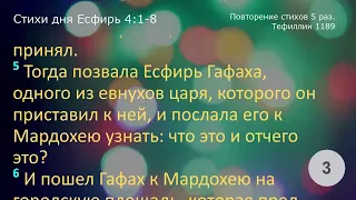 Есфирь 4:1-8     Повторение 5 раз