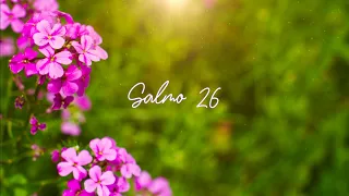 🎵Salmo 26