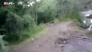 man chasing a bear // мужик гонится за медведем