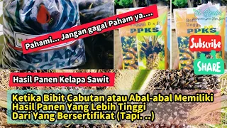 Ketika Bibit Cabutan atau Abal-abal Memiliki Panen Yang Lebih Tinggi Dari Yang Bersertifikat (Tapi)