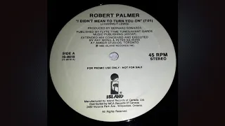 I Didn't Mean To Turn You On (Canadian Promo 12" Mix) - Robert Palmer