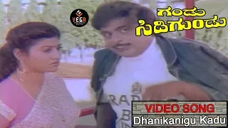 Dhanikanigu Kadu Video Song | Gandu Sidigundu - ಗಂಡು ಸಿಡಿಗುಂಡು | Ambarish | TVNXT Kannada Music