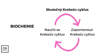 Krebsův cyklus - biochemie