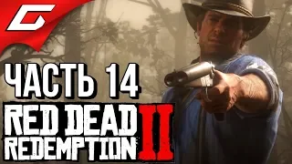 RED DEAD REDEMPTION 2 ➤ Прохождение #14 ➤ КОНИНА НА УЖИН