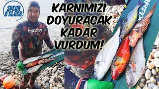 Kumluca, Karaöz'de dal-vur-temizle-pişir-ye! Kampı - 4k - Spear Fishing & Camping by Karaoz/ Kumluca