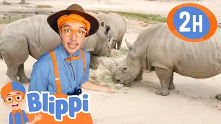 Blippi Visits the San Diego Zoo | Kids Song | Trick or Treat | Spooky Halloween Stories For Kids